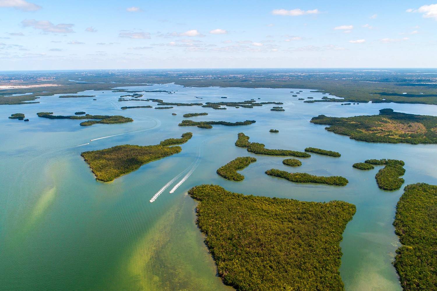 Mengapa Retret Pantai Florida Ini adalah Pilihan Liburan Alami 